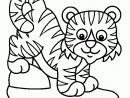 Coloriage Petit Tigre intérieur Colorage Enfant
