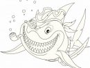 Coloriage Pirate : Mr Requin Sourit De Toutes Ses Dents serapportantà Coloriage Requin