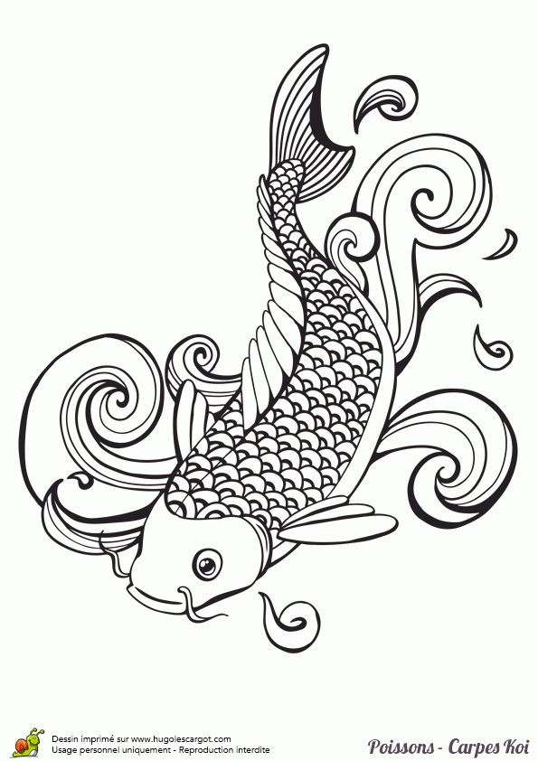 Coloriage Poisson Carpe Koi Eau Sur Hugolescargot tout Coloriage À L Eau