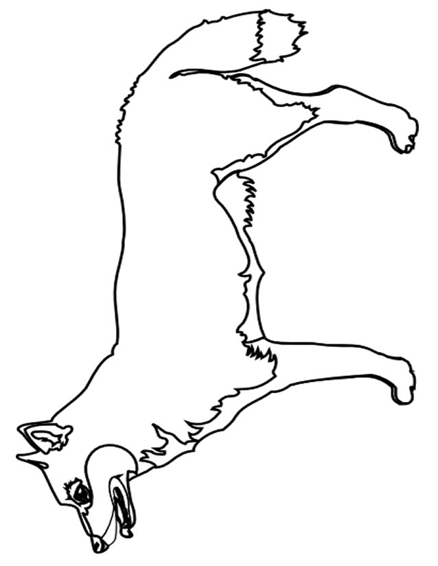 Coloriage Renard À Imprimer Gratuitement encequiconcerne Coloriage Renard