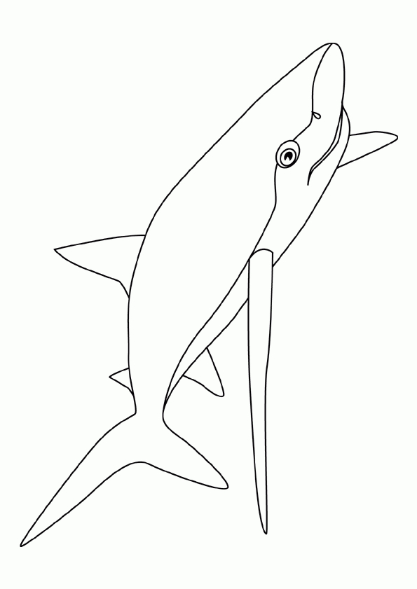 Coloriage Requin Bleu Sur Hugolescargot dedans Requin A Colorier