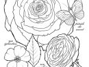 Coloriage Rose Et Rosace (Avec Images) | Coloriage avec Dessin Rosace Fleur