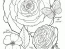 Coloriage Rose Et Rosace destiné Dessin De Rose A Imprimer