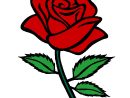 Coloriage Rose Rouge - Sans Dépasser concernant Coloriage D Une Rose