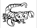 Coloriage Scorpion 1 .:. Coloriages Insectes En Italien encequiconcerne Coloriage Scorpion