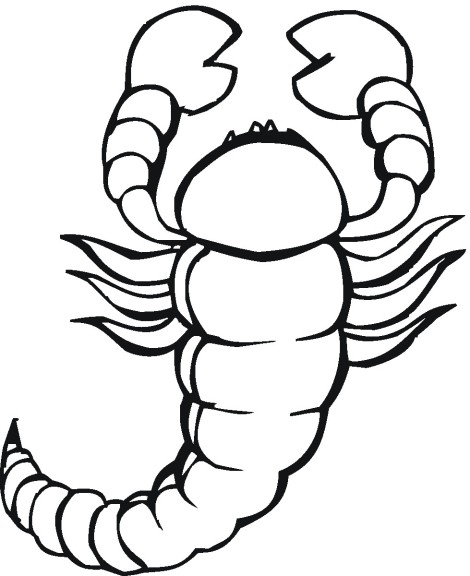 Coloriage Scorpion À Imprimer dedans Coloriage Scorpion