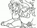 Coloriage Simba Pumbaa Et Timon (Coloriages Le Roi Lion) encequiconcerne Lion Dessin Enfant