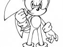 Coloriage Sonic En Ligne Dessin Gratuit À Imprimer pour Déssin A Imprimer