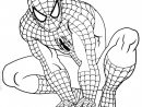 Coloriage Spiderman Facile Gratuit À Imprimer encequiconcerne Dessin Spiderman À Imprimer Gratuit
