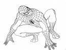 Coloriage Spiderman Facile Stylisé Dessin Gratuit À Imprimer tout Dessin Spiderman À Imprimer Gratuit