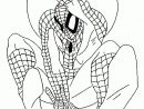 Coloriage Spiderman Format A4 | Coloriage En Ligne tout Coloriage En Ligne Hulk