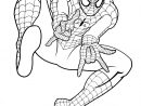 Coloriage Spiderman Gratuit À Colorier - Dessin À Imprimer avec Dessins À Colorier Gratuit À Imprimer