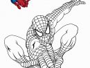 Coloriage Spiderman Gratuit Beau Coloriage Magique dedans Coloriage De Spiderman