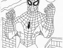 Coloriage Spiderman Prêt Au Combat Dessin Gratuit À Imprimer intérieur Dessin A Imprimer Spiderman 4