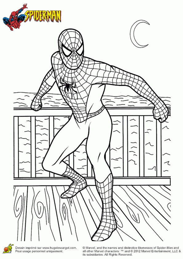 Coloriage Spiderman Super-Heros dedans Dessin A Imprimer Spiderman 4
