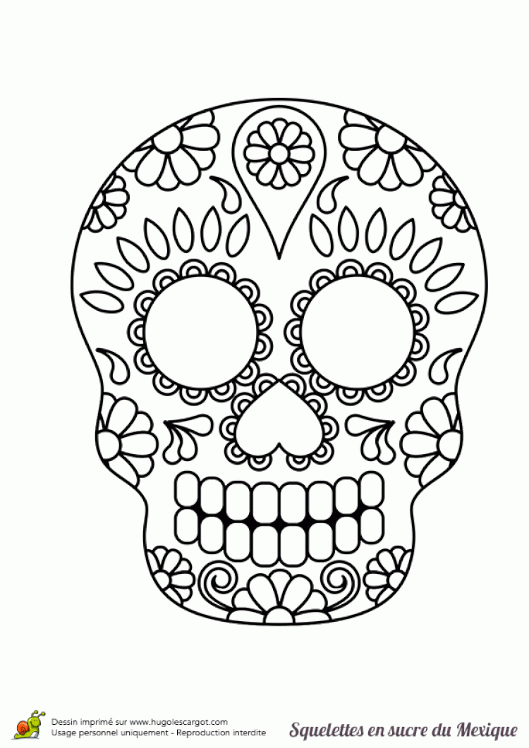 Coloriage Squelette Sucre Nature Et Fleurs | Calaveras à Tete De Mort A Colorier