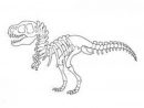 Coloriage Squelette Tyrannosaure Coloriage De Fossiles De pour Coloriage Dinosaure Tyrannosaure