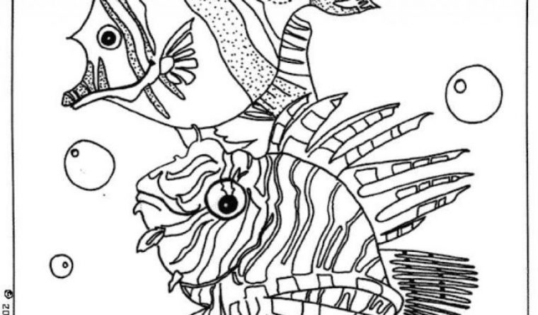 Coloriage Sur Tablette 53 Best Coloriage Images On tout Coloriage Tablette Coloriage Sur Tablette 53 Best Coloriage Images On tout Coloriage Tablette