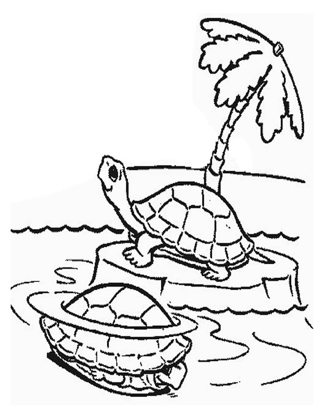 Coloriage Tortue À Imprimer Gratuitement serapportantà Coloriage Tortue A Imprimer Gratuit