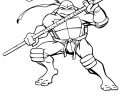 Coloriage Tortue Ninja Donatello À Imprimer Sur Coloriages destiné Coloriage Tortue Ninja À Imprimer