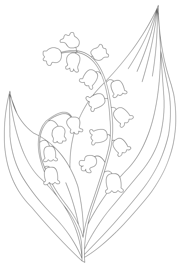 Coloriage, Un Brin De Muguet – Dory.fr Coloriages pour Coloriage Muguet Imprimer