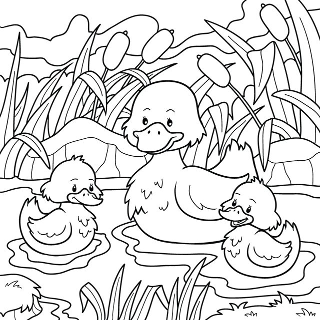 Coloriage, Un Canard Et Ses Canetons – Lulu La Taupe, Jeux destiné Coloriage A L Eau