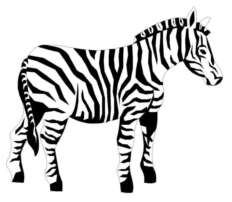 Coloriage Zou Le Zebre avec Dessiner Poc Dans Zou