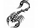 Coloriages À Imprimer : Scorpion, Numéro : 673359 serapportantà Coloriage Scorpion