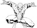 Coloriages À Imprimer : Spiderman, Numéro : 4563 serapportantà Coloriage De Spiderman Noir