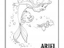 Coloriages Ariel Et Polochon - Fr.hellokids serapportantà Dessin A Imprimer Arielle La Petite Sirene