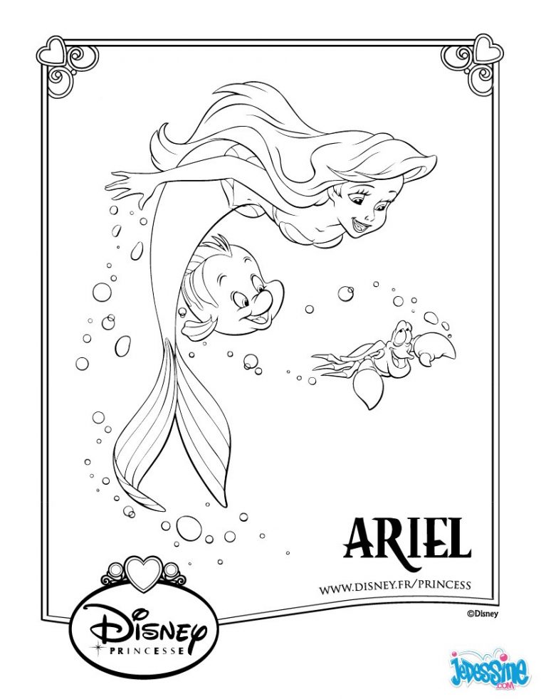 Coloriages Ariel Et Polochon – Fr.hellokids serapportantà Dessin A Imprimer Arielle La Petite Sirene