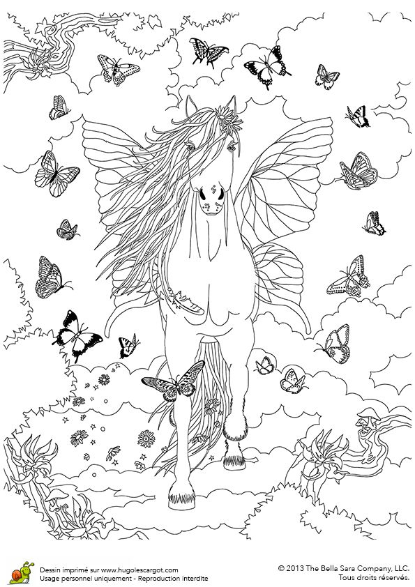 Coloriages Bella Sara Cheval Papillon | Coloriage concernant Dessin Forêt À Imprimer