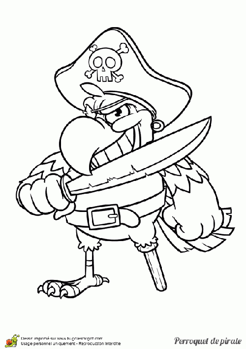 Coloriages De Pirates À Imprimer – Galerie Photo Pirates avec Coloriage De Perroquet A Imprimer Gratuit