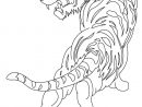 Coloriages Pour Fille: Le Tigre encequiconcerne Coloriage Pour Garçon De 8 Ans