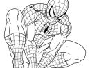 Coloriages Spiderman À Imprimer Sur Le Blog De Tlh - Visit concernant Coloriage De Spiderman Noir