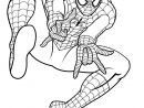 Coloriages Spiderman Gratuits Sur Le Blog De Tous-Les dedans Dessin Spiderman À Imprimer Gratuit