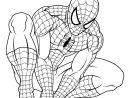Coloriages Spiderman Gratuits Sur Le Blog De Tous-Les intérieur Dessin A Imprimer Spiderman 4