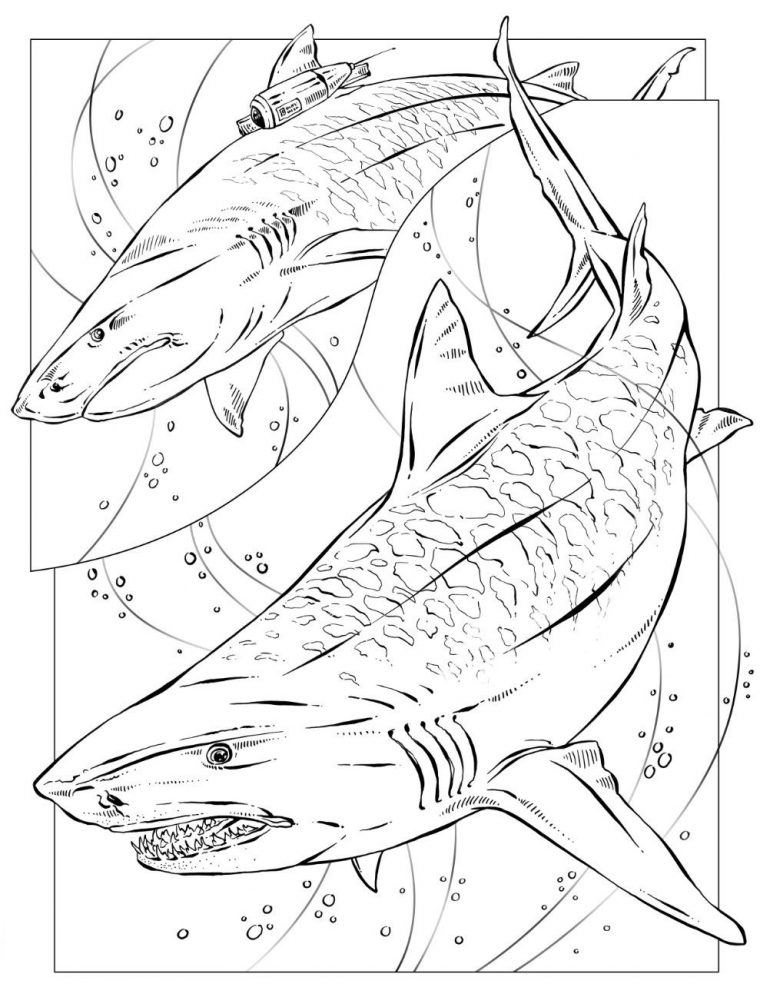 Coloring Book: Animals (J To Z) | Shark Coloring Pages tout Coloriage Requin
