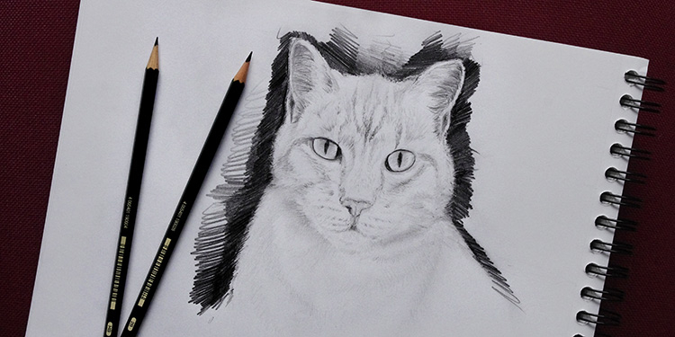 Comment Dessiner Un Chat Facilement : Tutoriel Video destiné Dessin De Chat Simple Comment Dessiner Un Chat Facilement : Tutoriel Video destiné Dessin De Chat Simple