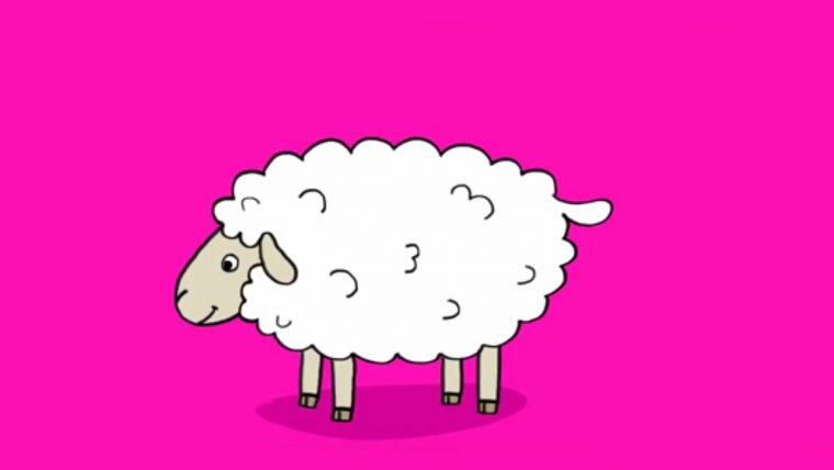 Comment Dessiner Un Mouton ? – encequiconcerne Comment Dessiner Un Avion Avec Facile