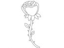 Comment Dessiner Une Rose - Dessein De Dessin pour Rose Facile A Dessiner
