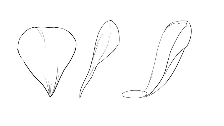 Comment Dessiner Une Rose – Dessindigo serapportantà Rose Facile A Dessiner