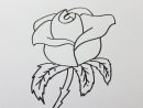 Comment Dessiner Une Rose Facilement - encequiconcerne Comment Dessiner Des Tournesols