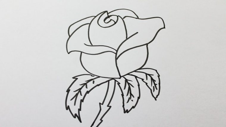 Comment Dessiner Une Rose Facilement – encequiconcerne Comment Dessiner Des Tournesols