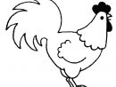 Coq Coloriage | Roosters &amp; Hens | Pinterest | Chicken dedans Dessin Poule Facile