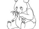 Cute Baby Panda Coloring Pages For Kids &gt;&gt; Disney Coloring encequiconcerne Panda A Colorier
