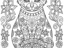 Cute Cat On Pillow With Flowers - Cats Adult Coloring Pages pour Dessin De Chat Simple