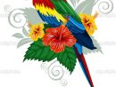 Попугай Вектор - Поиск В Google | Dibujos De Guacamayas pour Coloriage Oiseaux Tropicaux