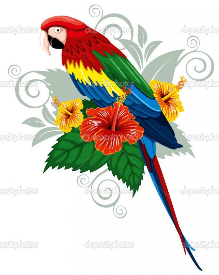 Попугай Вектор – Поиск В Google | Dibujos De Guacamayas pour Coloriage Oiseaux Tropicaux