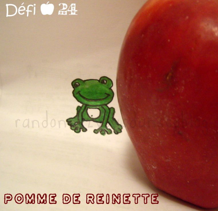 Défi Pomme 24 | Pomme De Reinette Par Clara (Idée, Dessin destiné Pomme De Renette